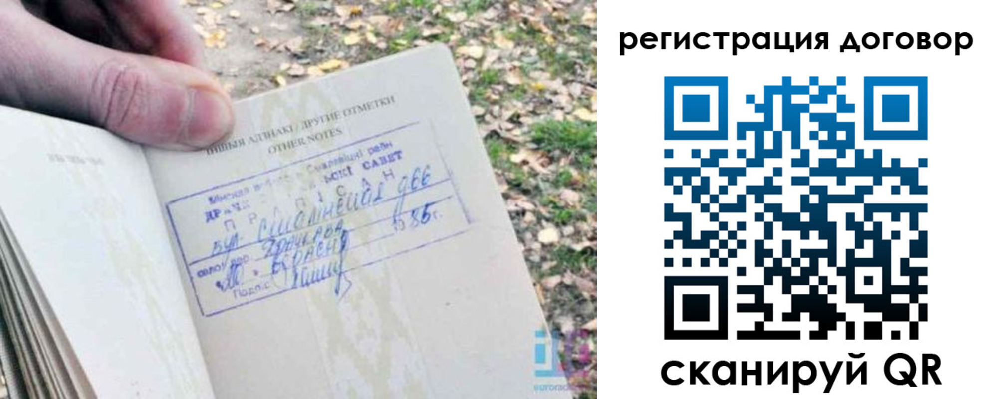 прописка гарантия в Боре